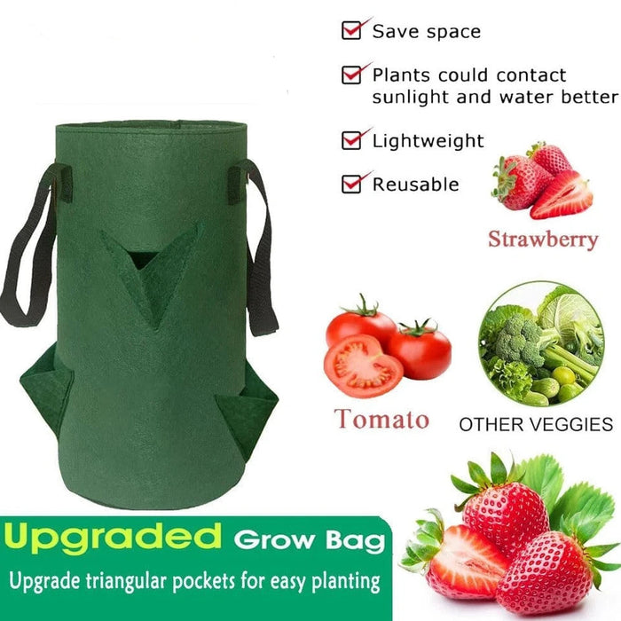 TerraHang - Hanging Garden Bags