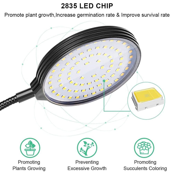 BloomBeam - Indoor LED Grow Lights