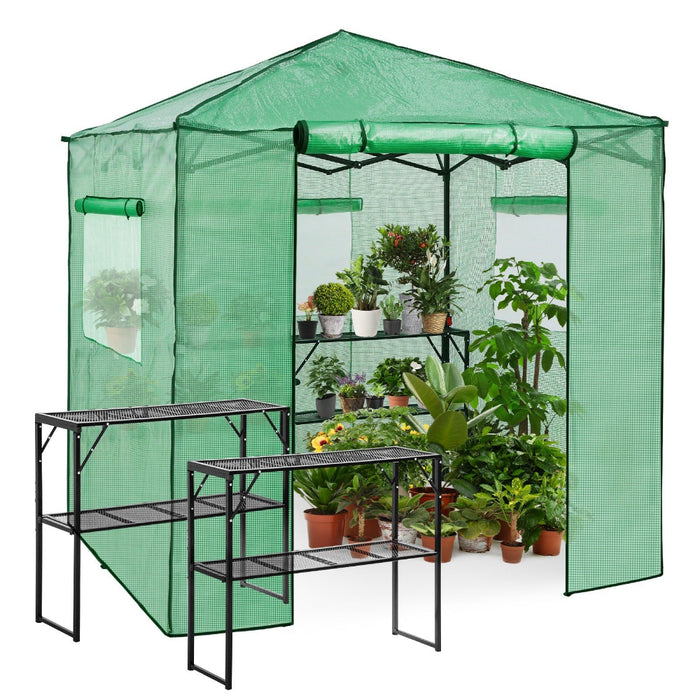 GrowLodge - Walk in Outdoor GreenHouse with 2 Shelves