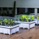 GrowLid - Greenhouse Seedling Tray
