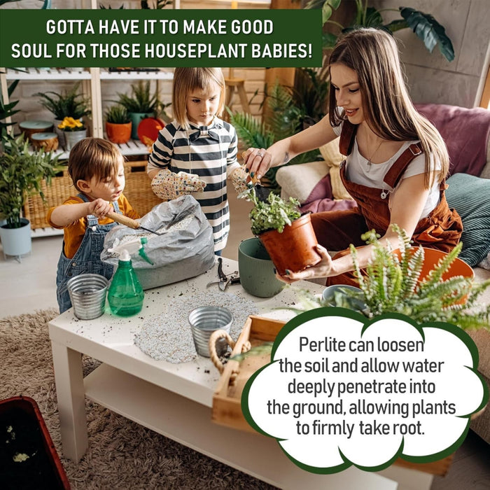 PureLift - 10QT Horticultural Perlite