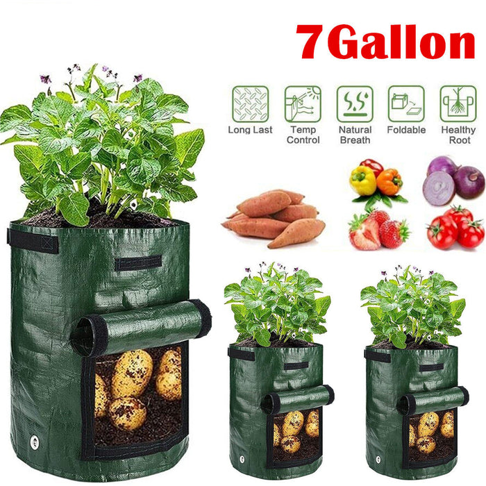 HarvestPeek - 3-Pack Potato Grow Bags
