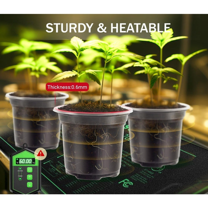 RootWatch - Clear Plastic Plant Pot