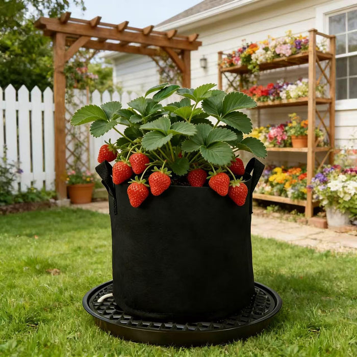 WickWell - Self Watering Base for Fabric Grow Bag