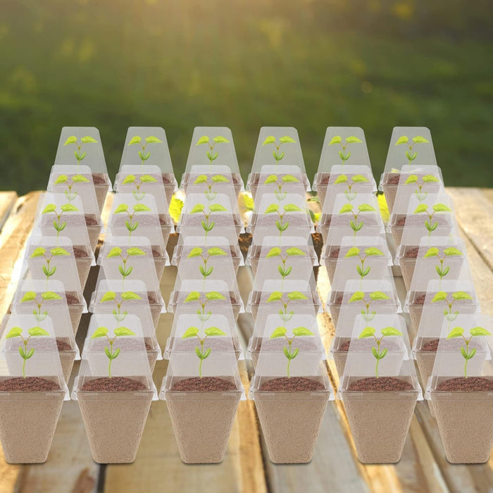 SeedWise - Seed Starter Peat Pots