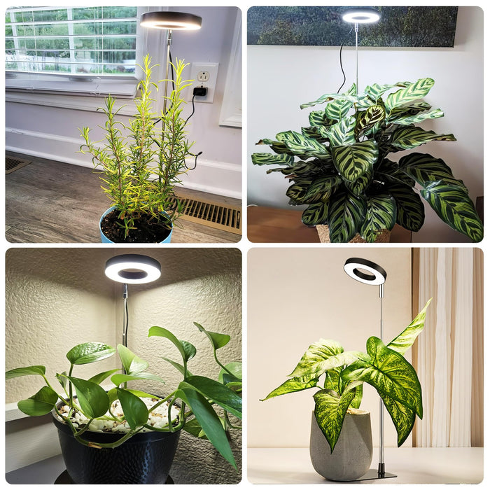 RootHalo  - Full Spectrum Grow Lights