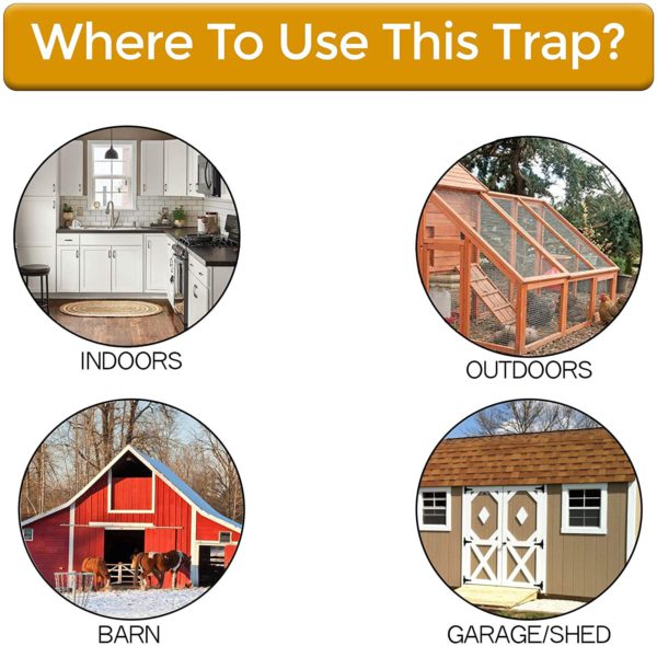 SafeCatch Pro - Mouse and Rat Trap