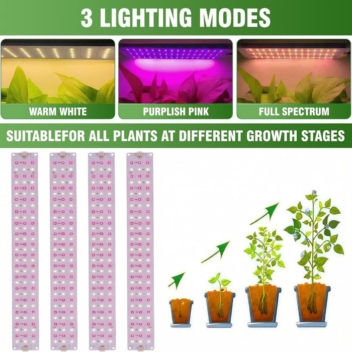 BloomBay - Indoor Greenhouse with Grow Light