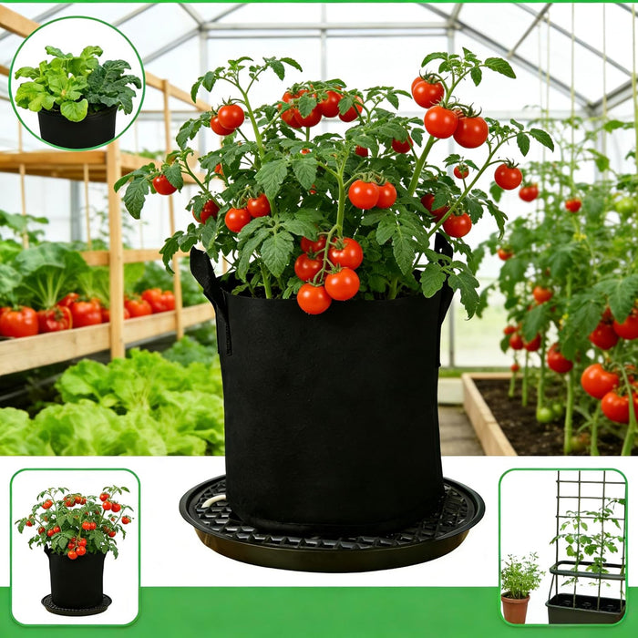 WickWell - Self Watering Base for Fabric Grow Bag