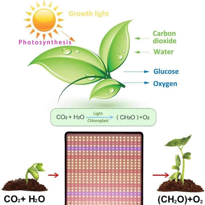 PlantAura - 1200W Full Spectrum LED Grow Light
