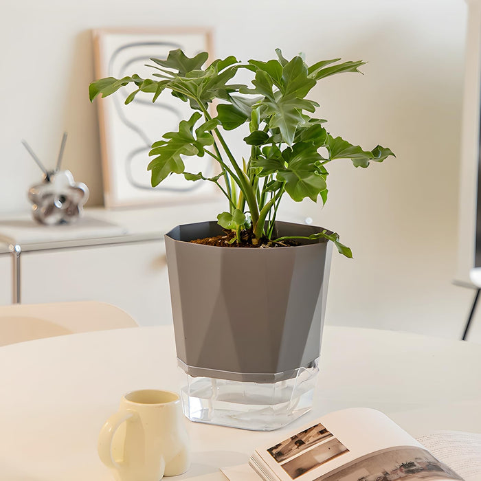 BloomDock - Self Watering Planter Pots