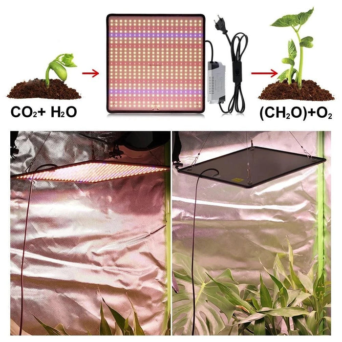 PlantAura - 1200W Full Spectrum LED Grow Light