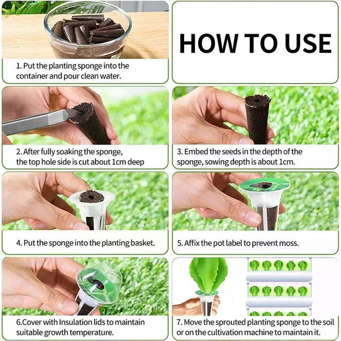 Rootify - Hydroponic Garden Seed Pods