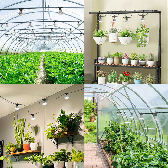 SunThread - Hanging Grow Light System