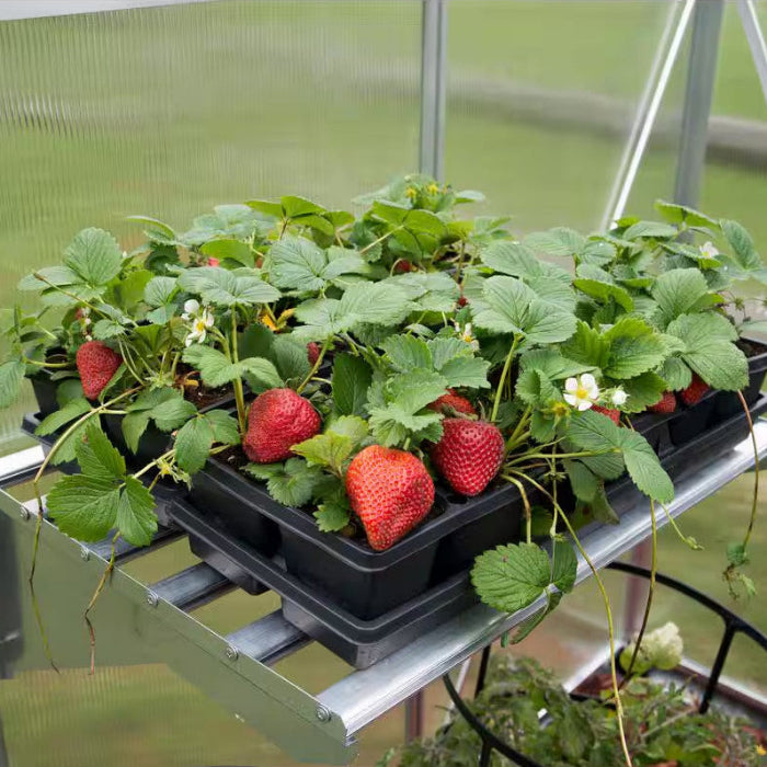CanopyRack - Heavy Duty Greenhouse Shelf Kit