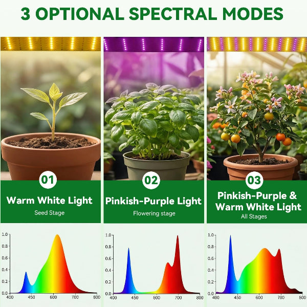 Seedlyft - Mini Indoor Greenhouse with Grow Lights