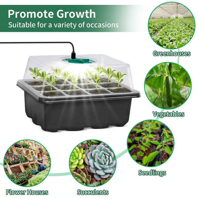 VerdureVault - Seed Nursery Kit with Grow Lights