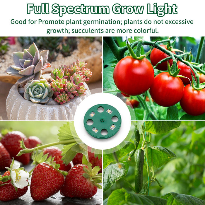 VerdureVault - Seed Nursery Kit with Grow Lights