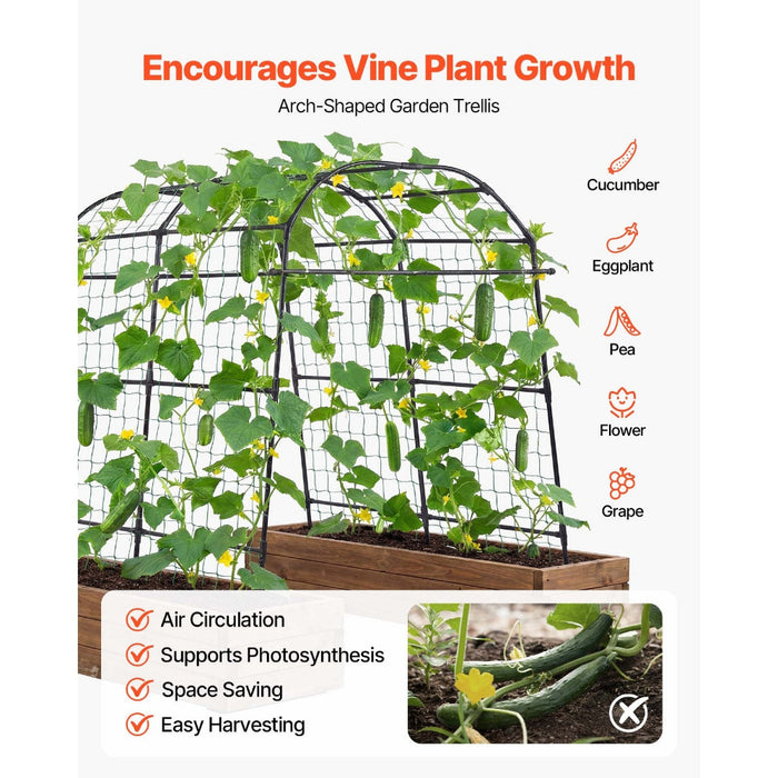 VineRise - Metal Garden Trellis