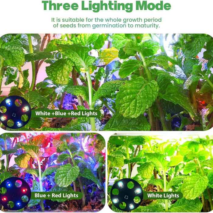 RootBloom - Seed Starter Trays with Grow Lights