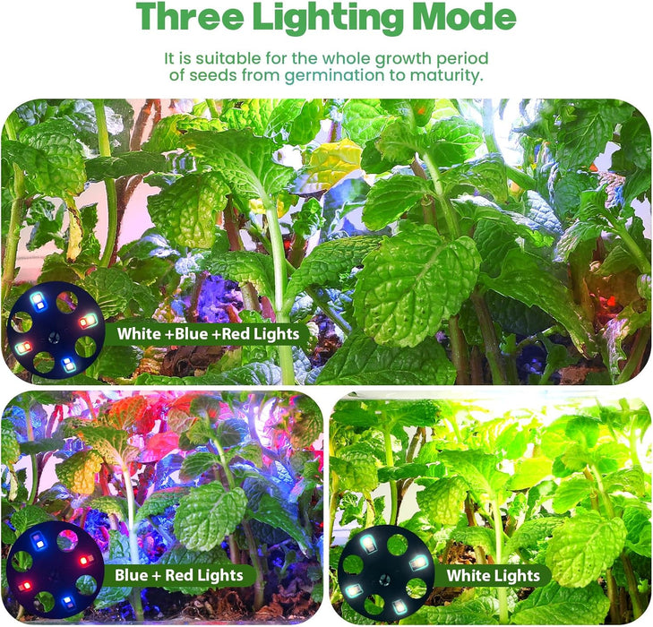 RootBloom - Seed Starter Trays with Grow Lights