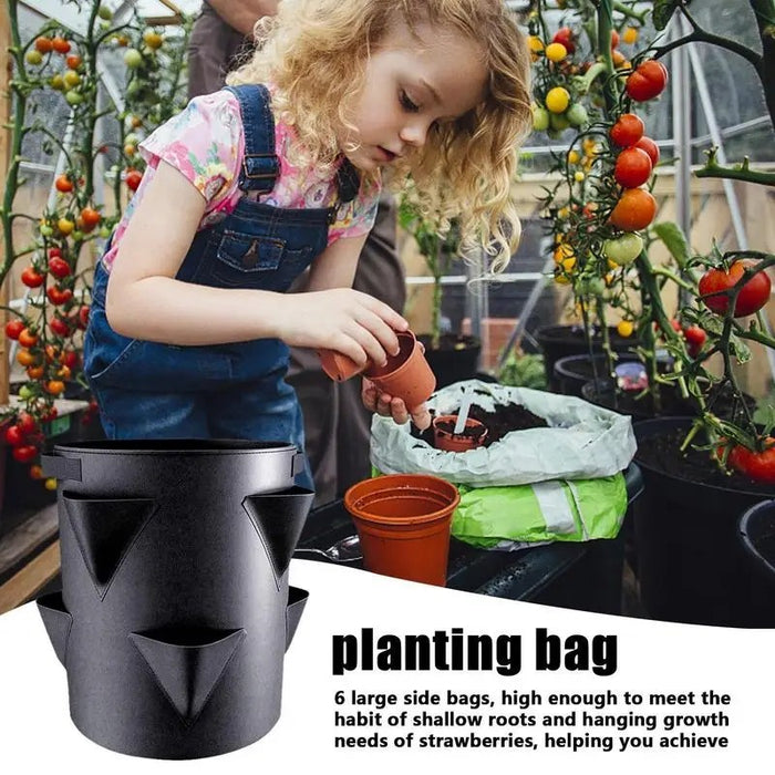BerryBloom - Outdoor Strawberry Planters