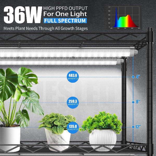 Plantique - Indoor Greenhouse with Grow Light