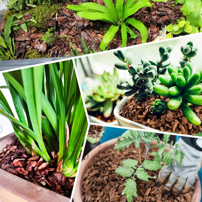 PureBark - Organic Orchid Potting Bark