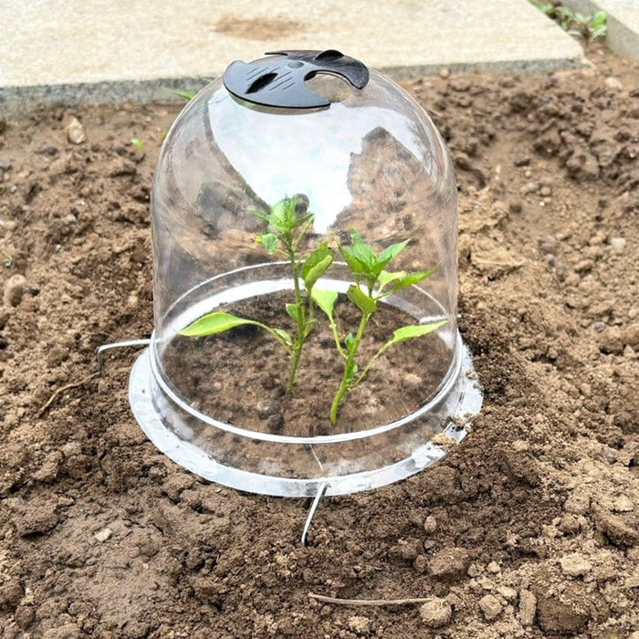 CropCocoon - Humidity Dome for Plants