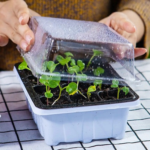 GrowLid - Greenhouse Seedling Tray