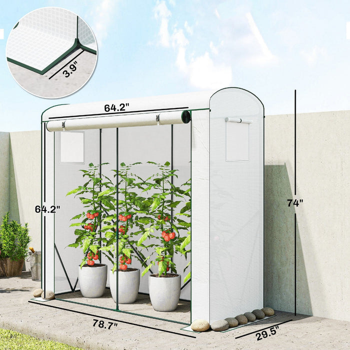 FloraDome - Mini Walk-In Greenhouse