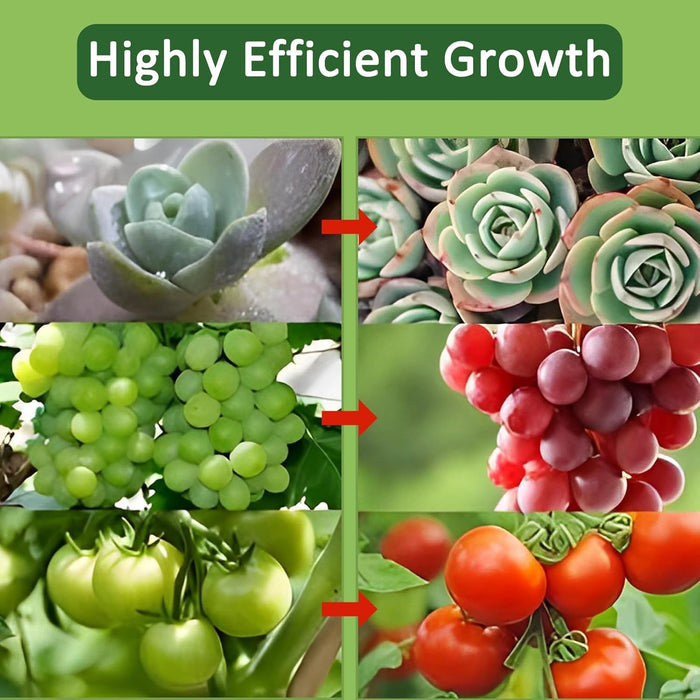 BloomBeam - Indoor LED Grow Lights