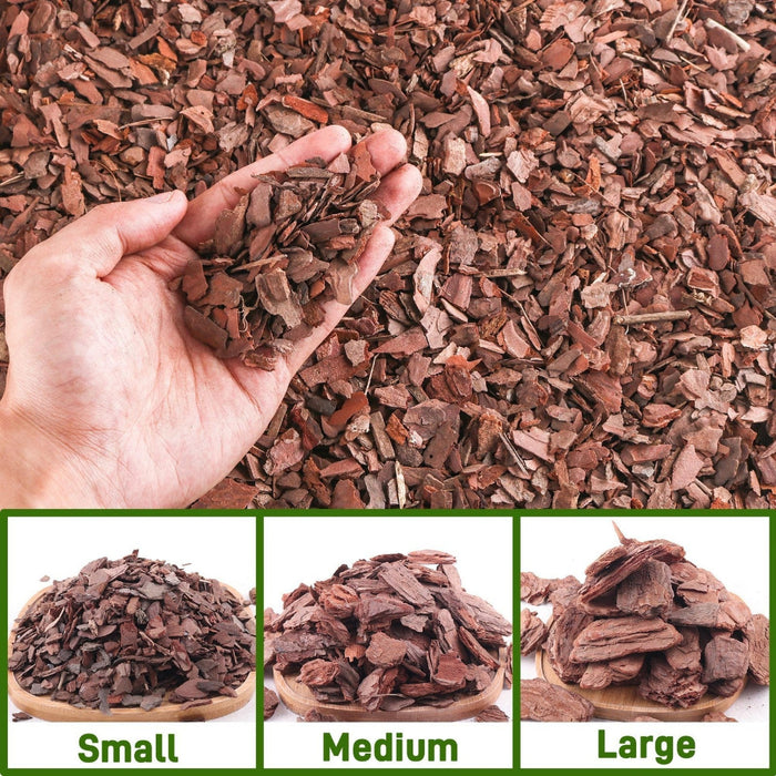 RootFlow – Natural Orchid Potting Medium