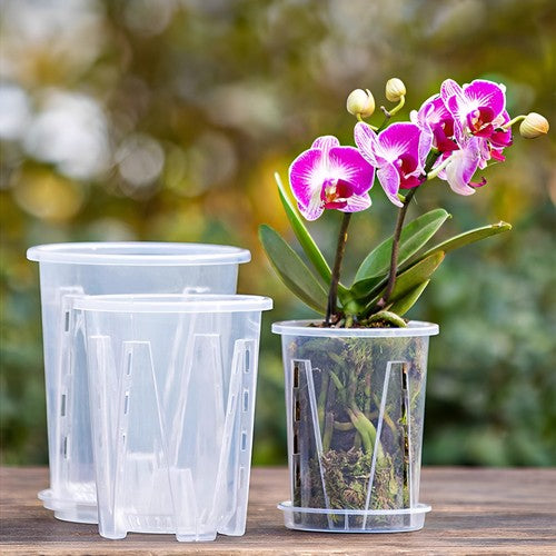 GrowGlass - Clear Nursery Pots with Drainage and Saucers