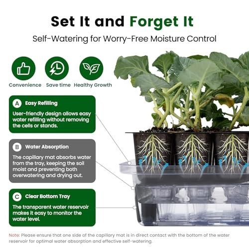 SeedRise - 72 Cell Seed Starter Kit