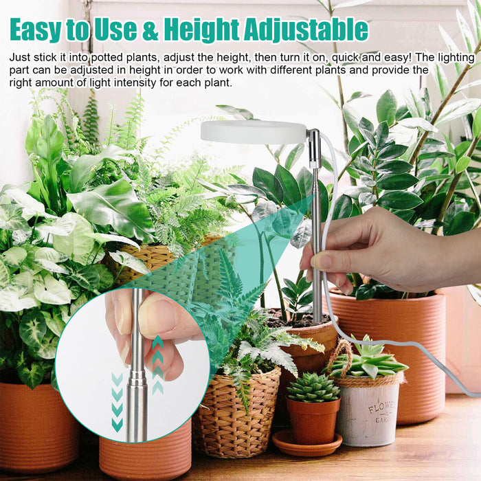 BrightFern - Halo Grow Lamp