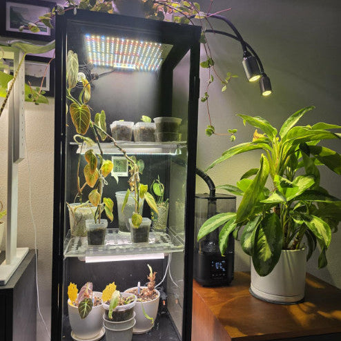 PrecisionMist - Grow Room Humidifier