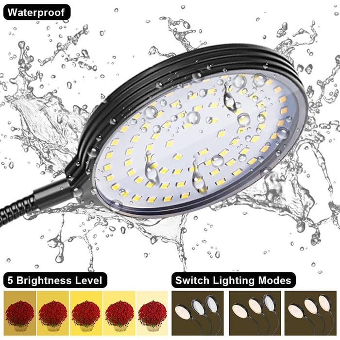 BloomBeam - Indoor LED Grow Lights