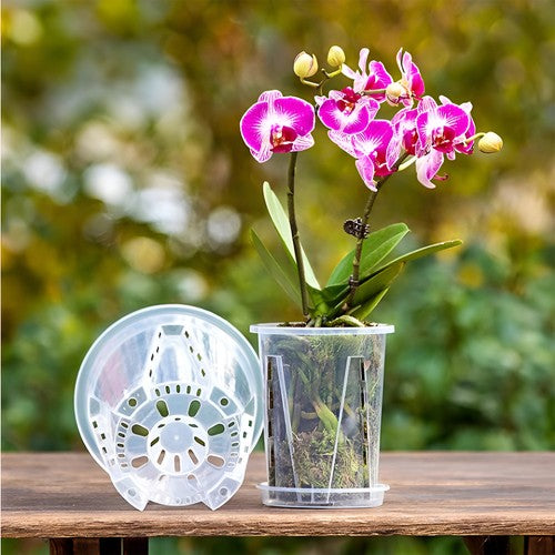 GrowGlass - Clear Nursery Pots with Drainage and Saucers
