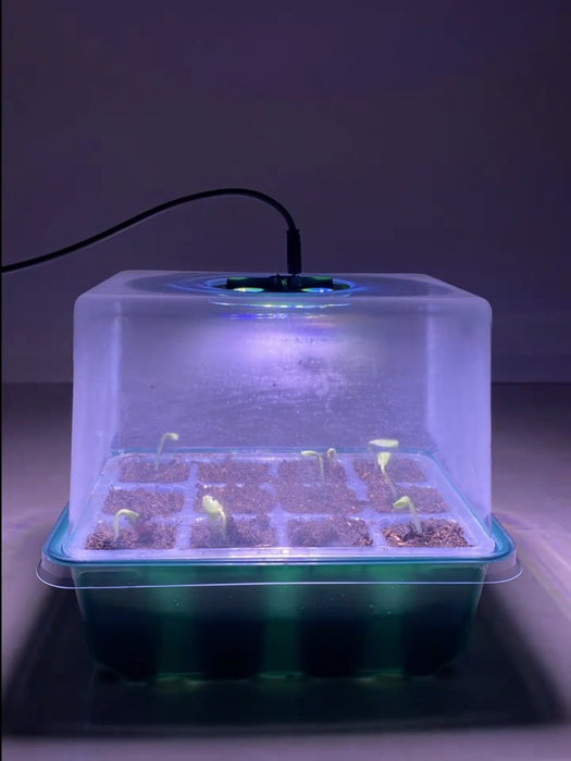 GermiGlow - Seed Starting Trays Kits