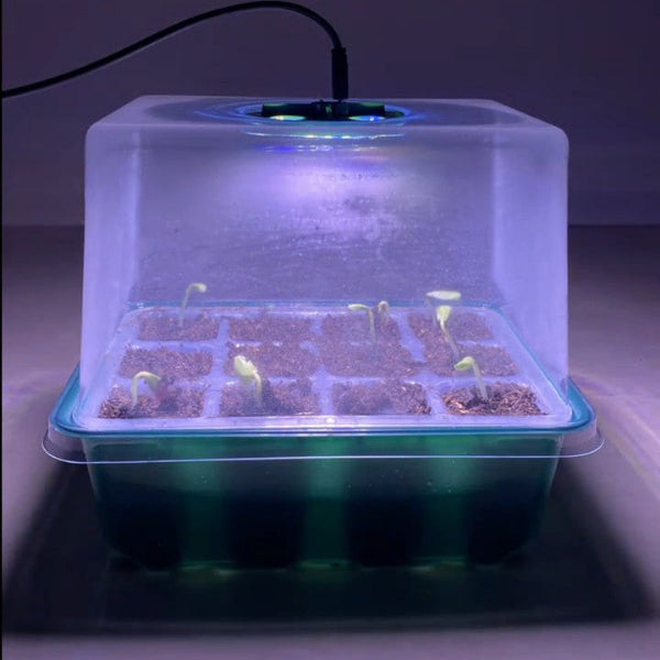 GermiGlow - Seed Starting Trays Kits