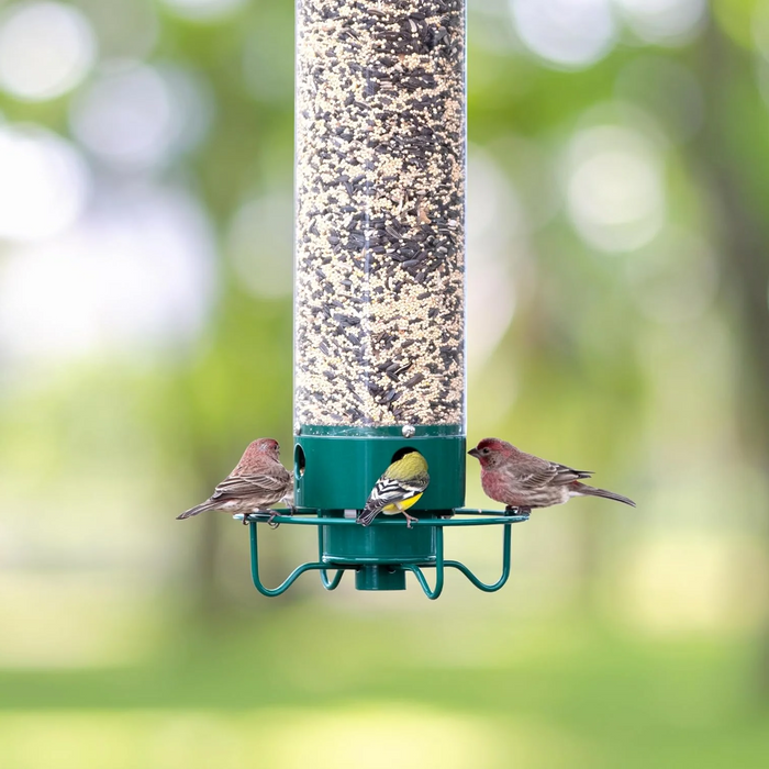 TwirlFeast - Squirrel Proof Bird Feeder