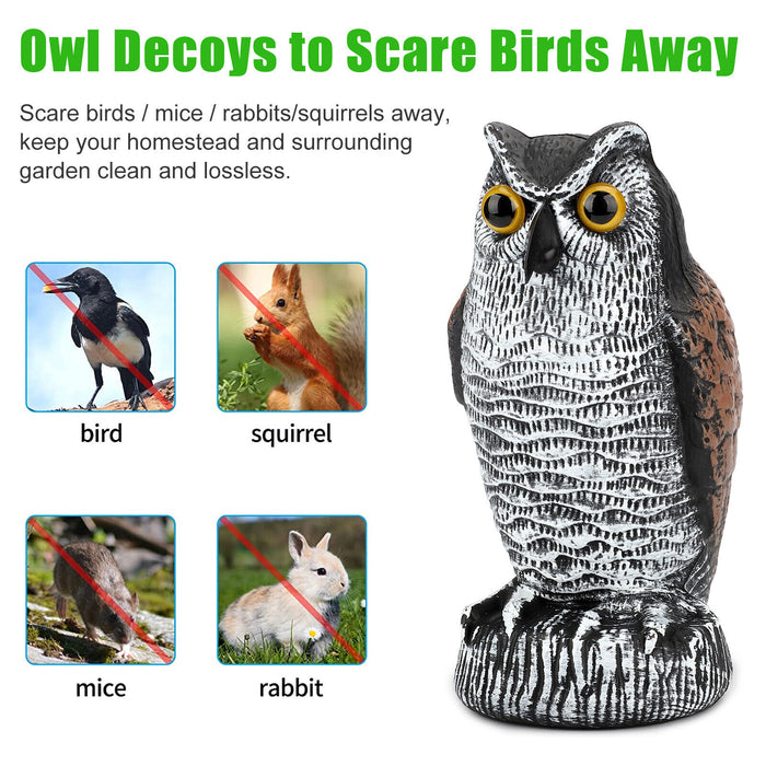 FeatherFend - Realistic Owl Bird Repellent