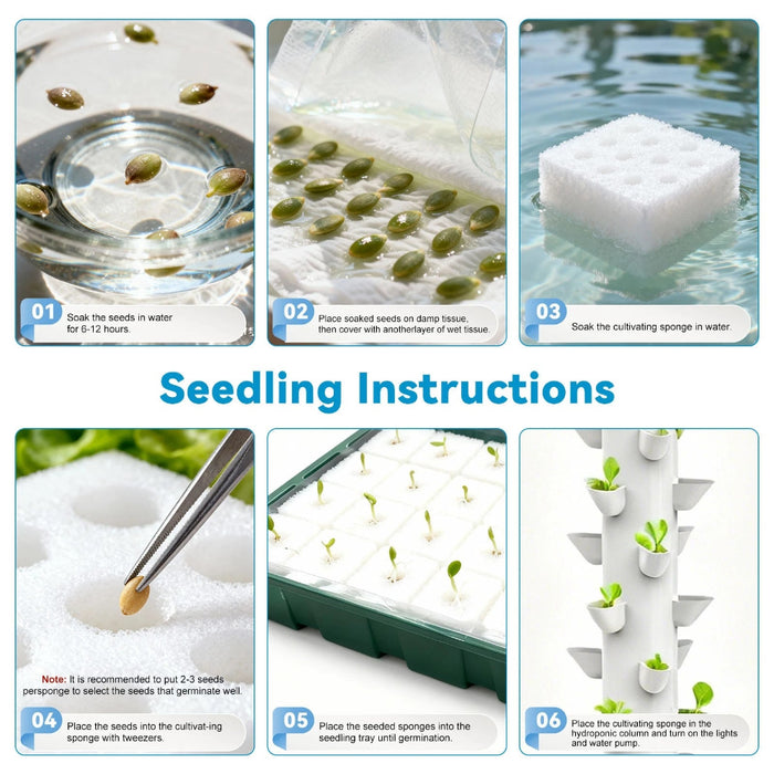 HomeHarvest - Hydroponic Growing System with Timer