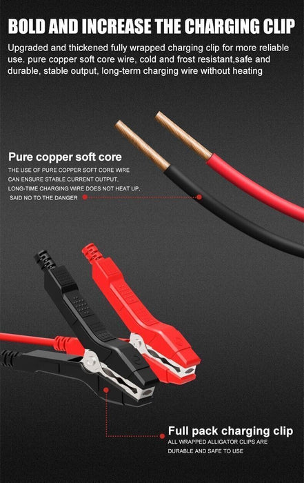 AmpGuardian - 12V Smart Battery Charger