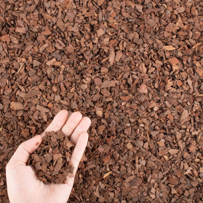 OrchidRoot - Natural Pine Bark Potting Mix