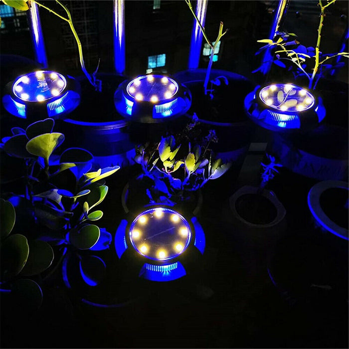 Decorative Solar Ground Lights - 4 Pack