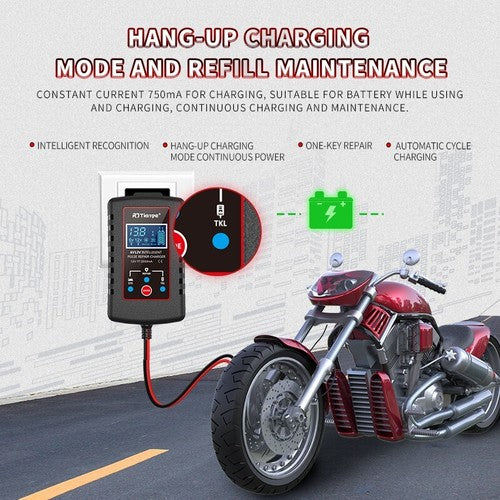 PowerIQ - Automatic 6V/12V Car Charger