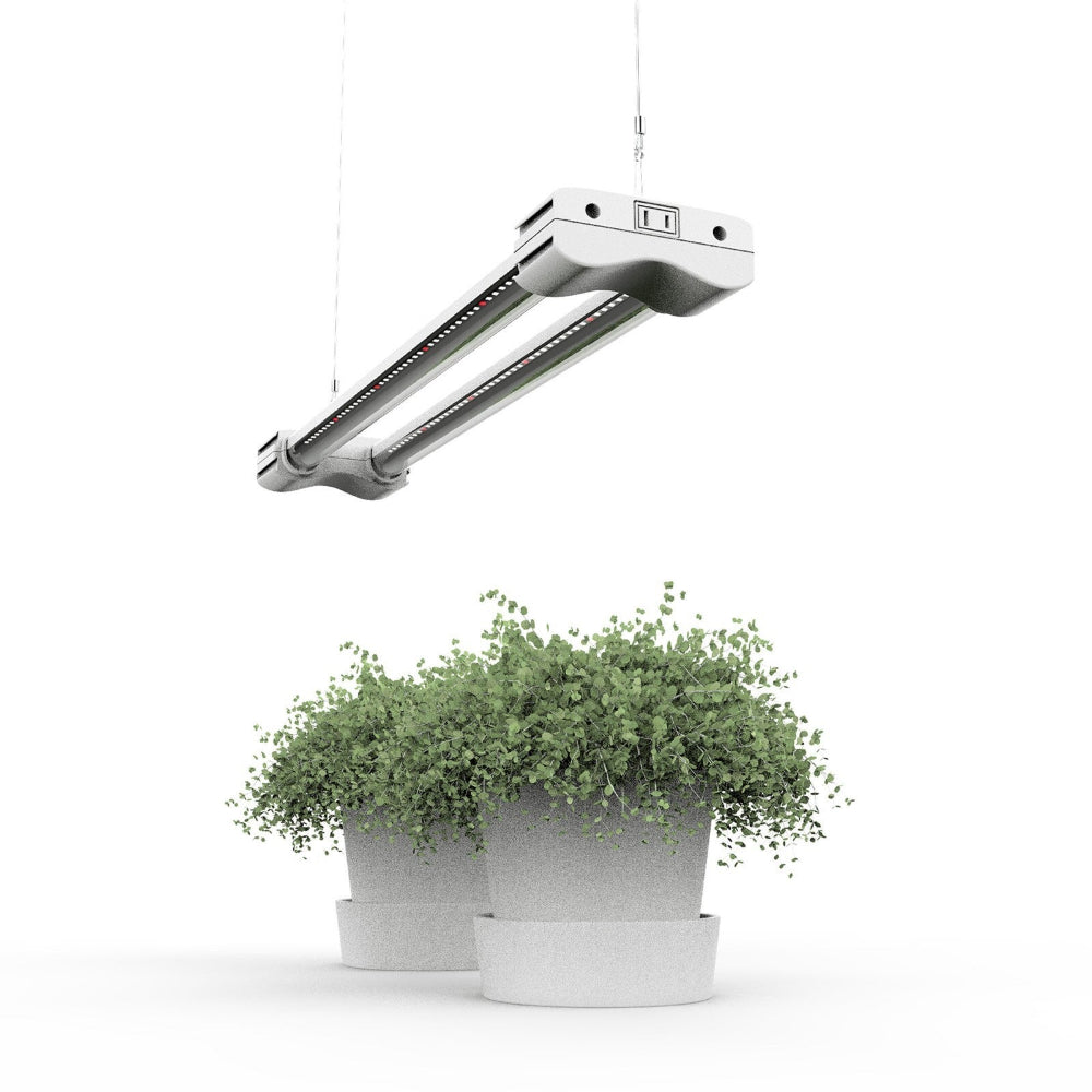 BrightBud - Full Spectrum LED Grow Light