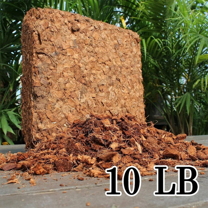 CocoCore - 10 lbs Organic Coconut Coir Scrap